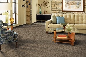 Carpet in Pacific Palisades CA