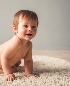 Best Carpet Company — Santa Monica, CA